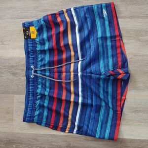 NWT Speedo Men's Comfort Stretch Multicolor Stripe Swim Trunks Size XXL